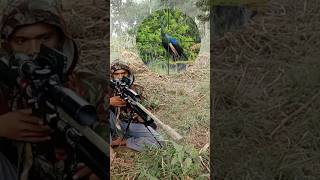 Berburu Ayam Hutan Mahal