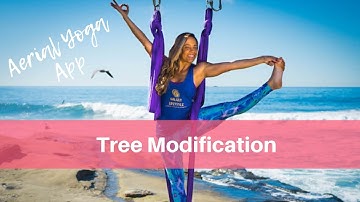 Aerial Yoga Advanced Pose: Tree Pose with Modification
