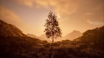 Unreal Engine 5: Easy Cinematic Natural Environments