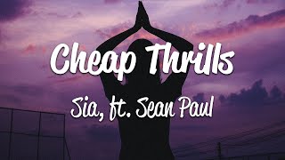 Cheap Thrills | Sia | Sean Paul | Lyrics | Desi Music