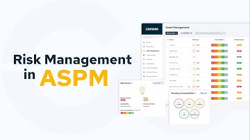 Risk Management in ASPM (Application Security Posture Management)