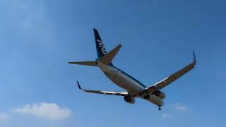 伊丹空港B滑走路 ANA737 20221103