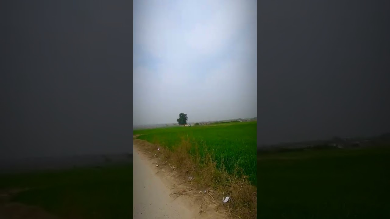 Islamabad Rural beauty | Islamabad Status Video | 