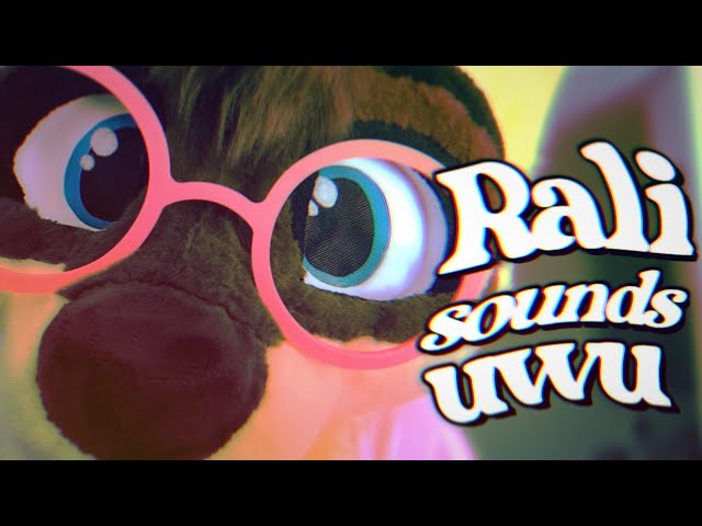 Furry ASMR | Tanuki makes noises at you until you fall asleep :3 (petting, sniffing, purring)