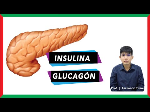 Video: ¿Qué células secretan insulina?