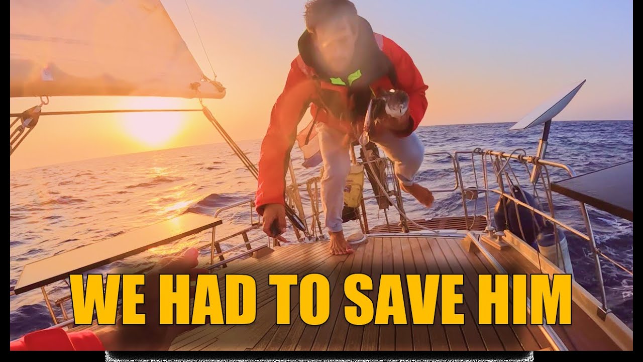 Sicily to Sardinia – A Life We Tried to Save (Part 2).. S2E9