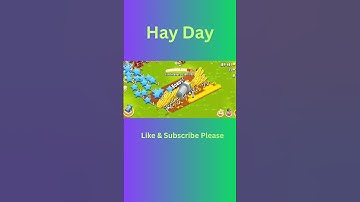 Mastering the Art of Wheat Harvesting in Hay Day A #Shorts Video with 100+ Crops!