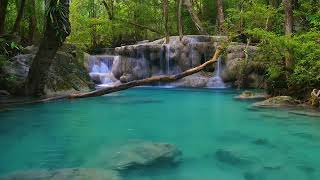 Tranquility in Every Note: Water Sounds for Inner Stillness
