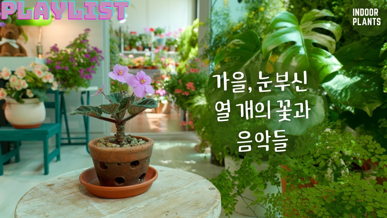 [4K] Наслаждаемся лучшими цветами в саду Хаку, слушая исцеляющую музыку