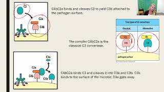 Innate Immunity: the Induced Response to Infection - Part 3 (2023 Update)