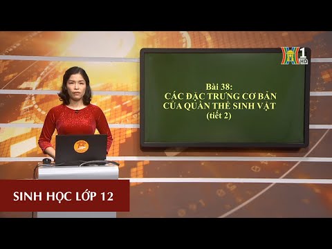 Video MÔN SINH HỌC - LỚP 12 | BÀI 38: QUẦN THỂ SINH VẬT |... - youtube