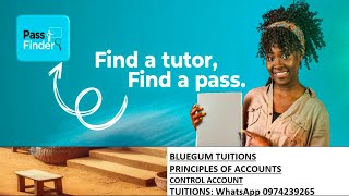 Accounts:Control Accounts