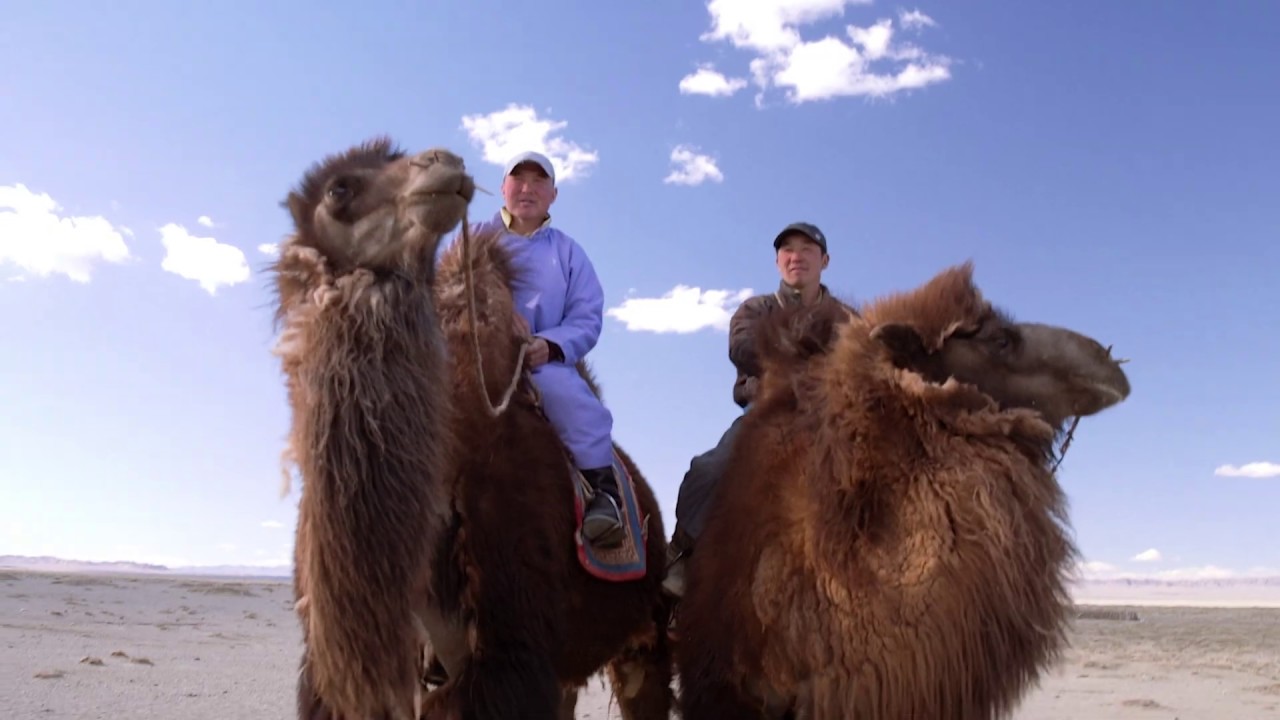 Mongolia : Nomads in the Gobi Desert - YouTube