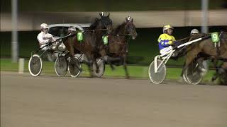 Vidéo de la course PMU PRIX VELITE DU GOUTIER