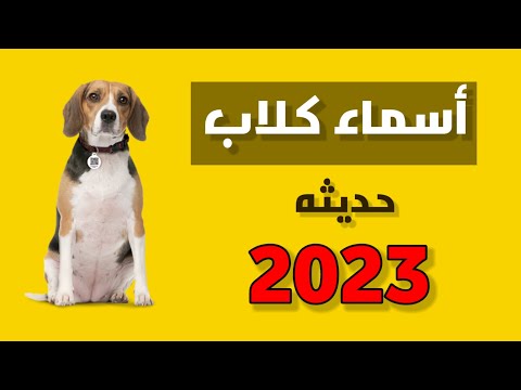 اسماء كلاب 2023 كلاب ذكور اقوى اسماء الكلاب