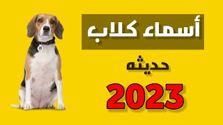 اسماء كلاب 2023 كلاب ذكور اقوى اسماء الكلاب
