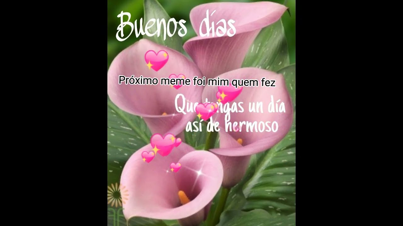 shitposter compilado #2 