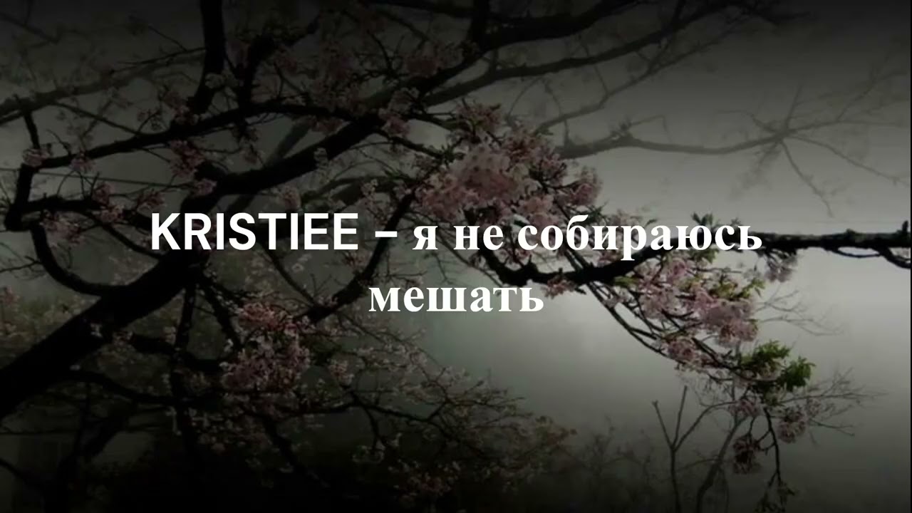 СК ПЛЕЙЛИСТ // SOUNDCLOUD // KRISTIEE // whitek3d // тёмный принц // fleurnothappy // AQUAKEY