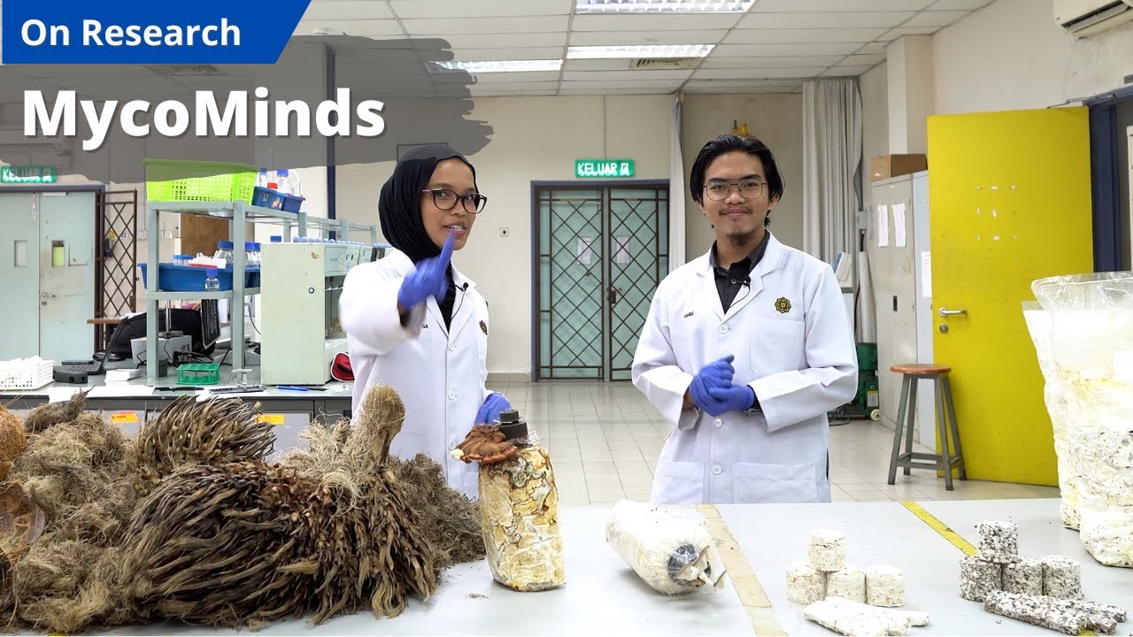 MycoMinds 3 min pitching | IIUM Innovation Competition 2025