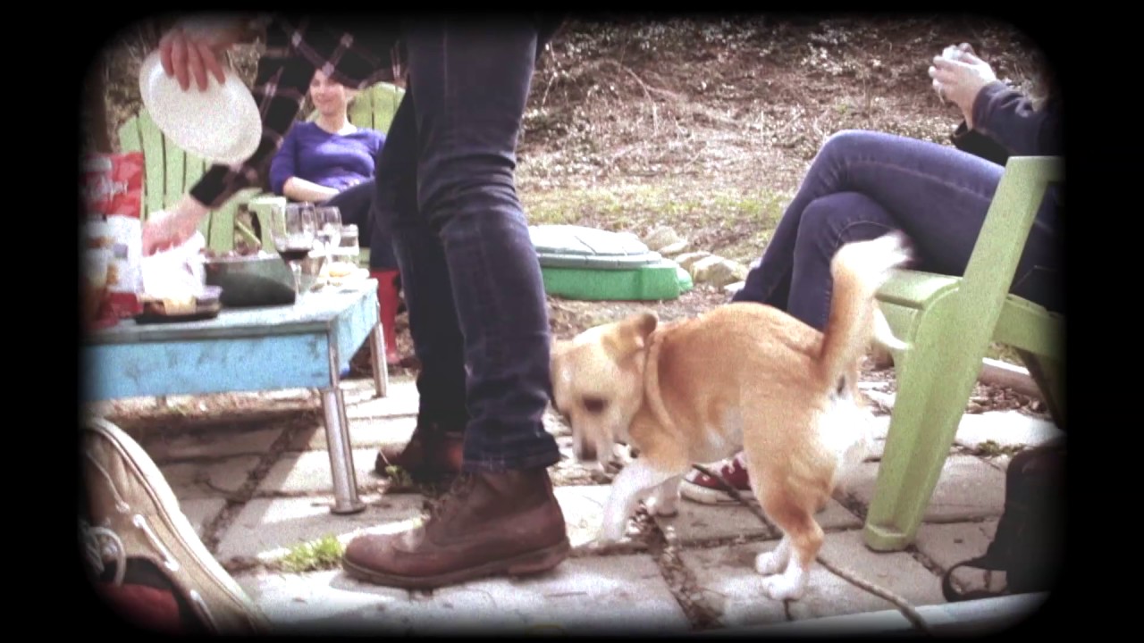 Watch Jon Lewis Band - Pooch on YouTube Watch Jon Lewis Band - Pooch on YouTube