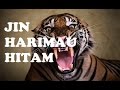 JIN HARIMAU HITAM NEGERI SELANGOR - ERI ABDUL ROHIM