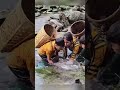 Part 2. Highland boy- meets new friend and together they stack stones to dam a stream to catch fish