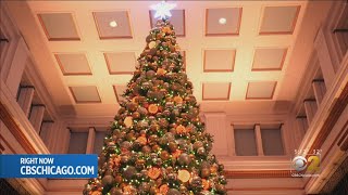 Macy's Holiday Window Display Now Open On State Street