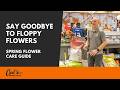 Stop Floppy Flowers This Spring | Tips &amp; Tricks
