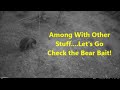 Among Other Stuff, Let's Go Check the Bear Bait!
