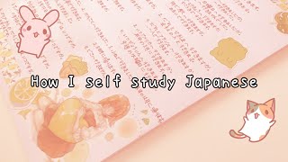 How I self study Japanese screenshot 1