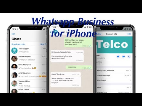 Whatsapp Business for IOS available for download