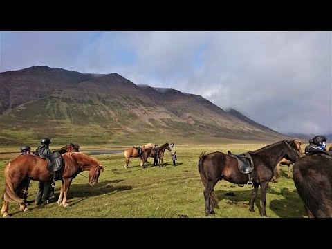 Video: Fotograf Drew Doggett Fångar Skönheten På Island Och Dess Isländska Hästar