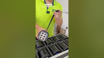 6 Channel DMX Splitter Overview Buttons and Panel Features BLUE SEA LIGHTING