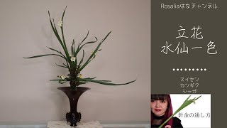 四季池坊いけばな花材事典 冬・周年 ヨドバシ.com - 四季 池坊いけばな花材事典 冬・周年 [全集叢書