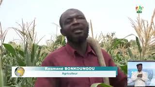 La famille Bonkoungou, grande productrice de produits vivriers dans le Mouhoun