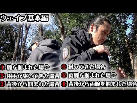 格闘技 ウェイブ