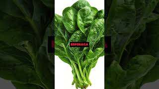 Las  Mejores Verduras Para Controlar La Diabetes