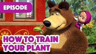 Masha and the Bear 💥 NEW EPISODE 2022 💥 How to Train Your Plant (Episode 99) 🌱🌾 screenshot 1