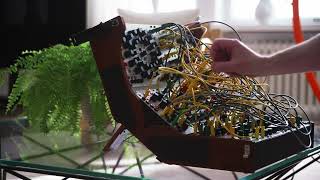 Buchla tune # 4 w. thick 258 bass