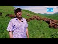 Племенное животноводство в Кыргызстане / НТС