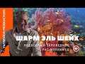 Шарм Эль Шейх. Подводный заповедник Рас Махаммед