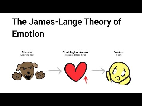 Video: Hoe verskil die James Lange-teorie van emosie en die Cannon Bard-teorie?