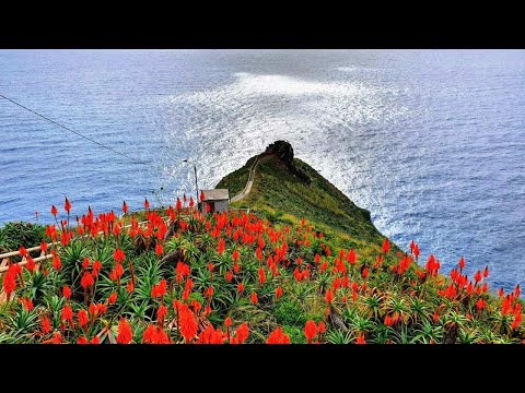 Cristo Rei Viewpoint, Madeira