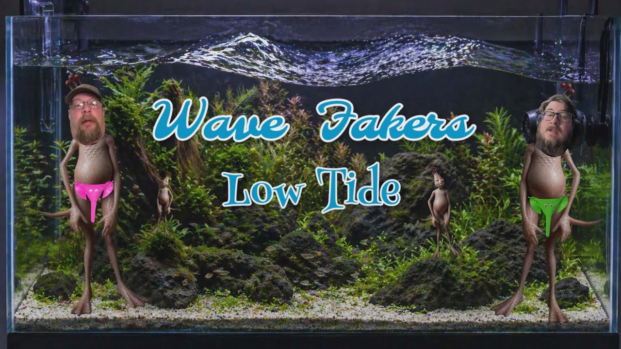 Wave Fakers. low tide