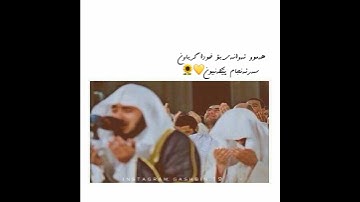 قرآن الكريم بصوت سالم الرويلي اجمل حالات واتس اب دينية سورة الحجر فيديو قصيره 🤍🌿