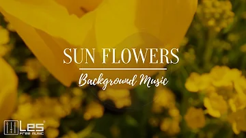 Sun Flowers / Acoustic Solo Guitar Peaceful Relaxing Background Music (Royalty Free)