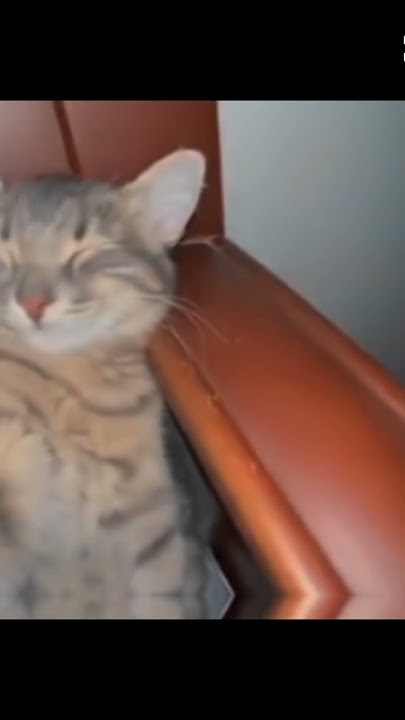 Download lagu kompa passion phone trend