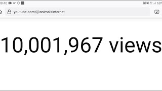 youtube.com/@animalsinternet reaches 10.000.000 views