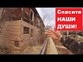 "СПАСИТЕ НАШИ ДУШИ! Фикалии нас душат!" Реновация в провинциальном городке.