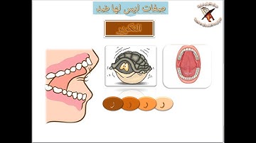 تعلم قراءة القرآن وقواعد التجويد - صفات الحروف - صفة التكرير